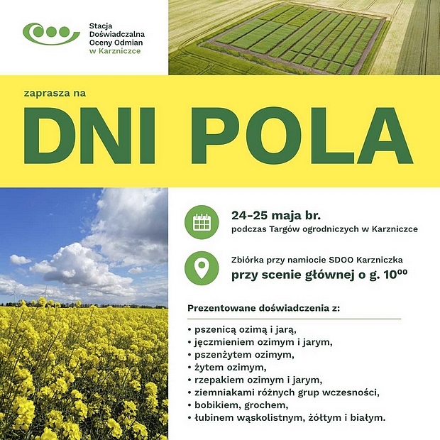 Plakat zawiera informajcje dotyczące Dni Pola, które odbęda sie w Karzniczce w dniach 24-25 maja br. podczas Targów Ogrodniczych. Bedzie mozna zobaczyc uprawy zbóż ozimych i jarych, rzepaku, bobowatych grubonasiennych i ziemniaków. Zborka przed namiotem przy scenie głownej o godzinie 10. Na plakacie zdjęcie kwitnącego rzepaku ozimego oraz poletek doświadczalnych zrobionych z drona.